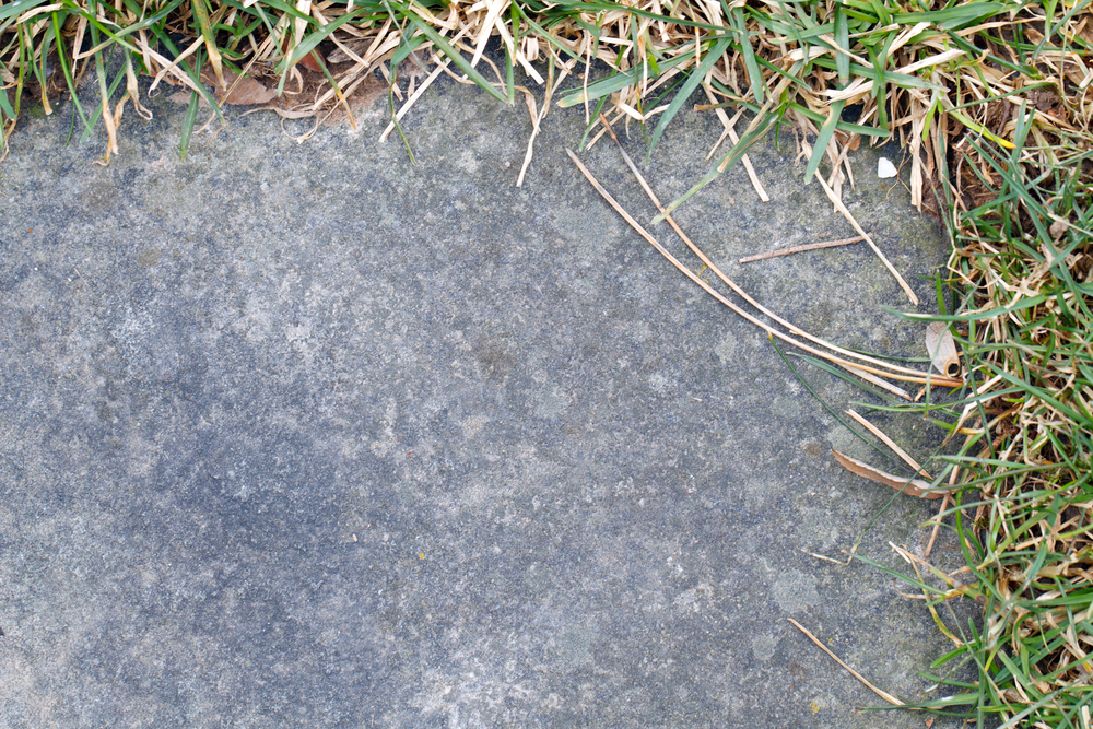 Bluestone Installation